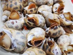 -蚝乡农庄(铁涌赤岸店)