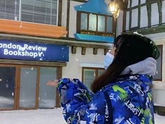 -世界之窗阿尔卑斯冰雪世界