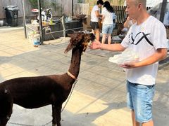 -美家乐农庄·露营·团建(大治路店)