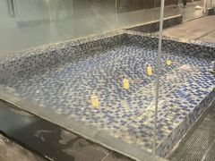 -西吉马游泳健身(协信店)