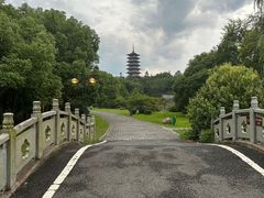 -宜兴龙背山森林公园