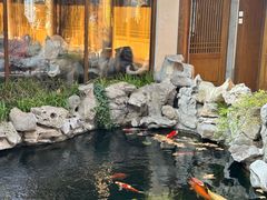-鲤院·新中式美学·庭院餐厅(夫子庙店)