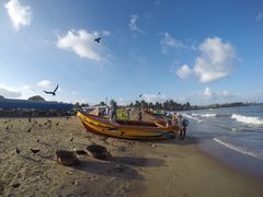 -尼甘布海鲜市场