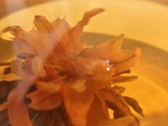 -芸山季·云南山珍菌火锅(南翔印象城MEGA店)