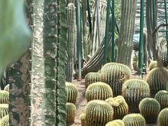 -南山植物园