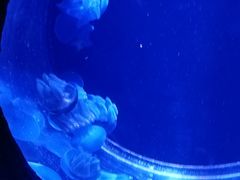 -华夏文旅西安度假区