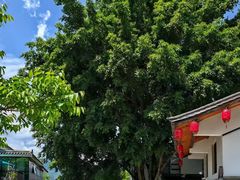 -苍山世界地质公园·石门关大峡谷