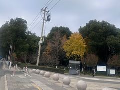 -圩墩遗址公园
