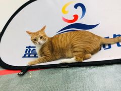 -蓝天射箭馆·专业射箭运动(诚丰广场店)