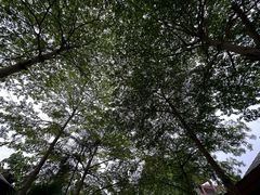 -广州都喜泰丽温泉度假酒店