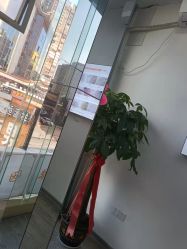 -痘院长·祛痘·科技美肤