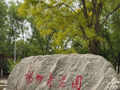 -杨柳青庄园