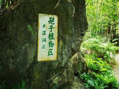 -深圳仙湖植物园