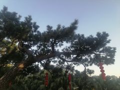 -船政文化景区-罗星塔公园