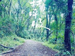 -青龙山国家森林公园