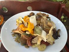 -山菌美食苑(振兴路店)