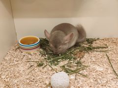 -龙猫仔乐园(惠福东路店)