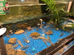 -亚马逊蒸汽活海鲜自助(LCM置汇旭辉广场店)