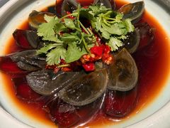 -同济大酒店(绿宝广场店)