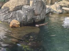 -香港海洋公园