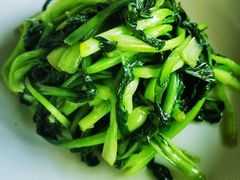 -菩提树·素食餐厅(汇智国际商业中心店)