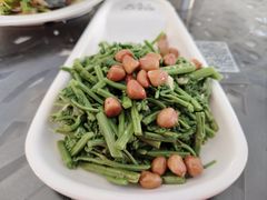 -京北渔家傲