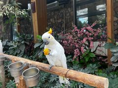 -南宫五洲植物乐园