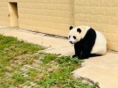 -石家庄市动物园