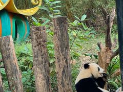 -广州长隆野生动物世界