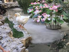 -赛格国际购物中心(小寨店)