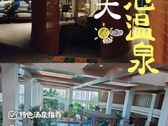 -齐河孔雀王温泉酒店·金孔雀自助百汇