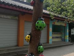 -杭州少年儿童公园