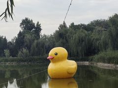 -渭滨公园