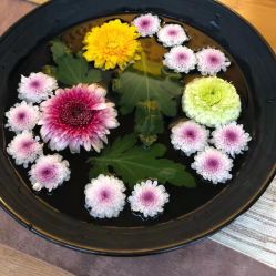 -素可SPA