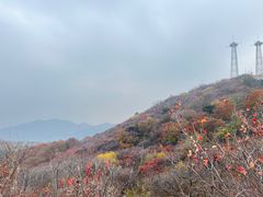 -北京西山国家森林公园