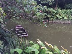 -小洲村
