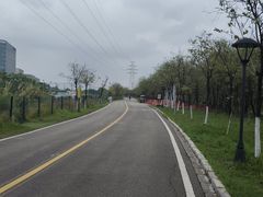 -广东花都湖国家湿地公园