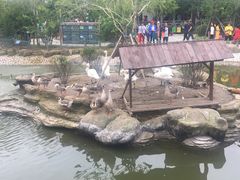 -长春农博园