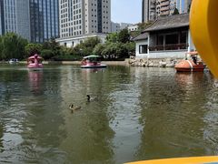 -团结湖公园
