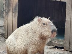 -杭州长乔极地海洋公园