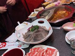 -鼎汇丰重庆老火锅(鞍顺园店)