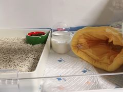 -派联宠物医院·24h·CT·异宠