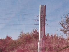 -草原天路(张北县)