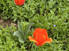 -浙江大学(玉泉校区)