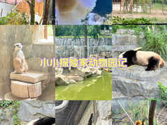 -红山森林动物园