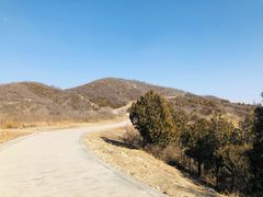 -鬼笑石后山停车场