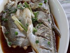 -晓琦农家菜馆·地道农家菜