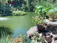 -白家大院·王府宫廷菜(苏州街店)