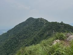 -午潮山国家森林公园