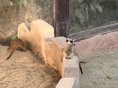 -呀诺达热带雨林